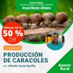 Helicicultura- Producción de Caracoles