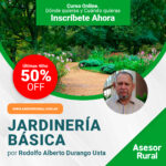 Jardinería Básica