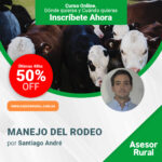 Manejo del Rodeo de Cría