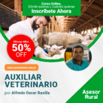 Auxiliar veterinario