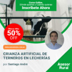 Crianza Artificial de Terneros en Lecherías
