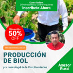 Producción de Biol