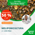 Meliponicultura