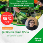 Jardinería como Oficio