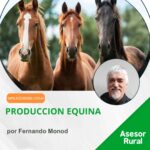 Producción Equina